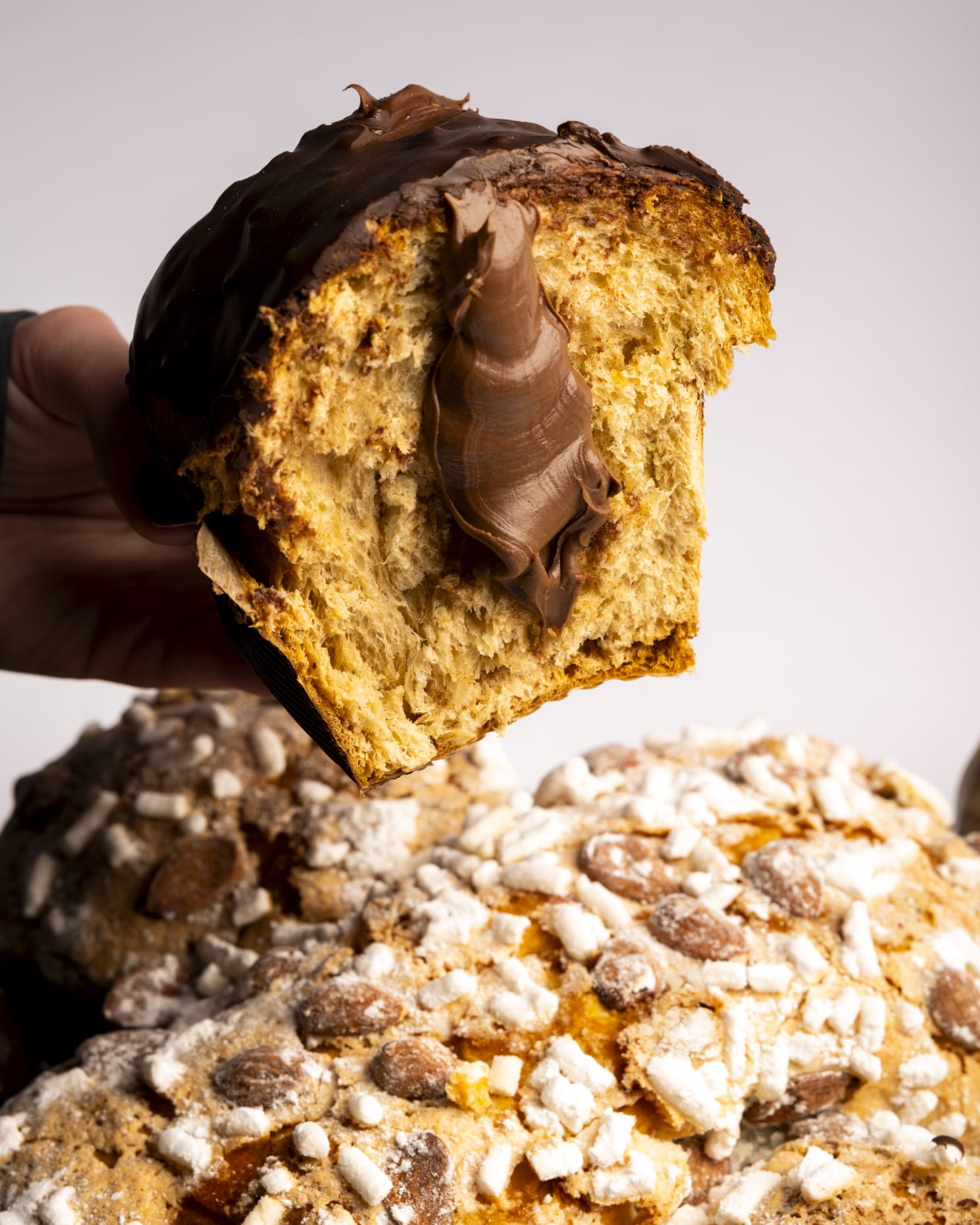 Colomba al cioccolato tagliata, con crema al cioccolato in evidenza