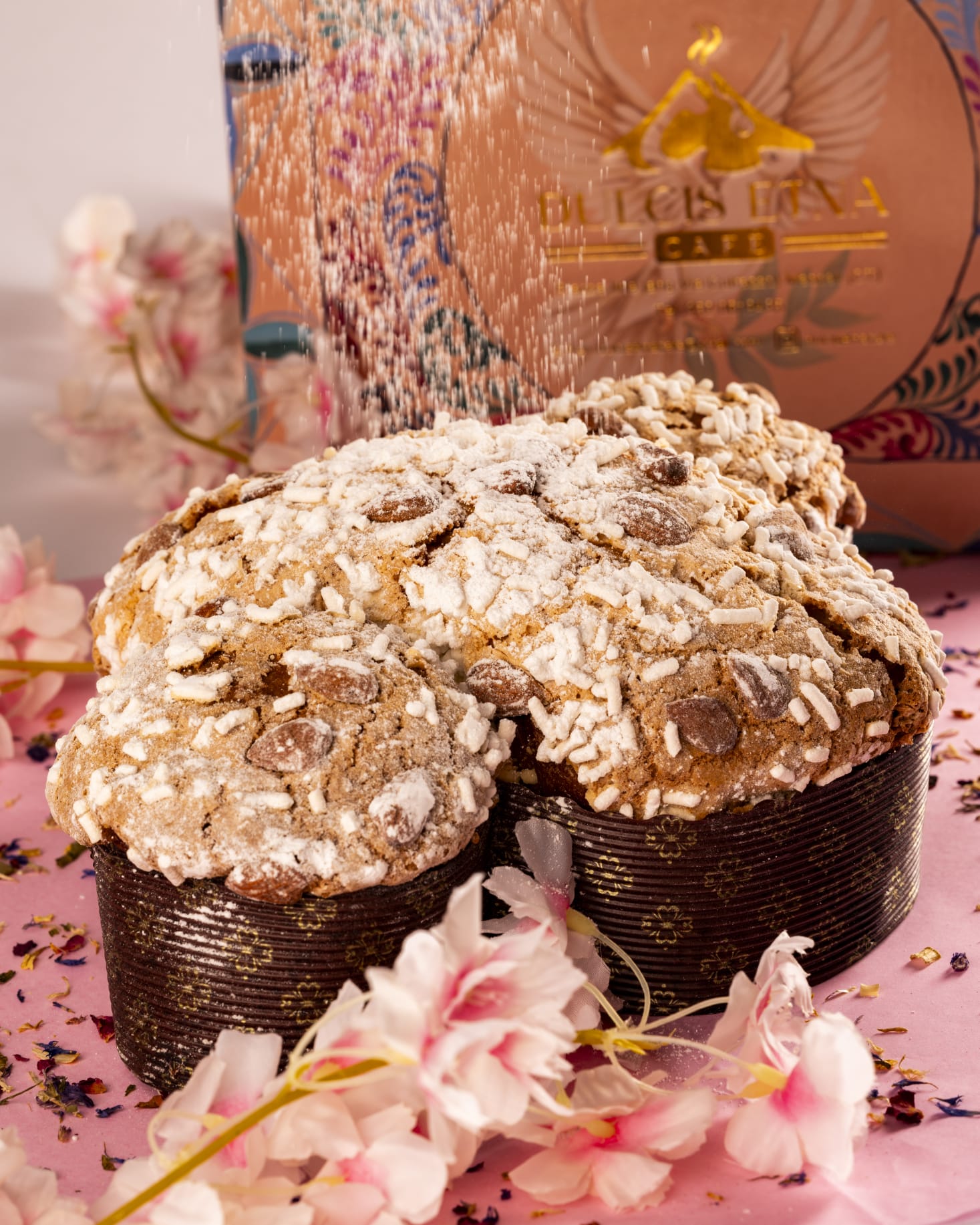 Colomba artigianale con zucchero a velo davanti alla scatola Dulcis Etna Cafè